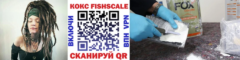где купить наркотик  Касли  Cocaine Fish Scale 