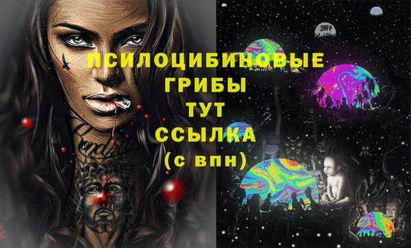 ALPHA PVP Дмитриев