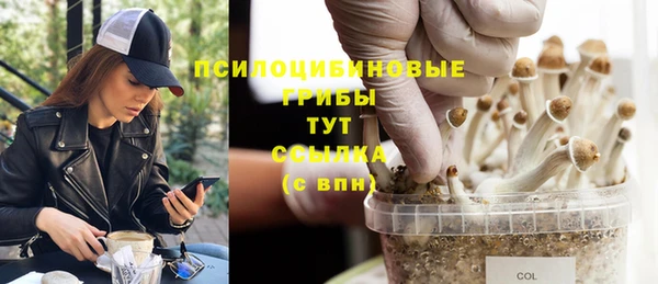 ГАЛЛЮЦИНОГЕННЫЕ ГРИБЫ Дмитров