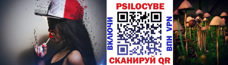 это клад  где купить наркоту  Касли  Галлюциногенные грибы Psilocybine cubensis  MEGA маркетплейс 
